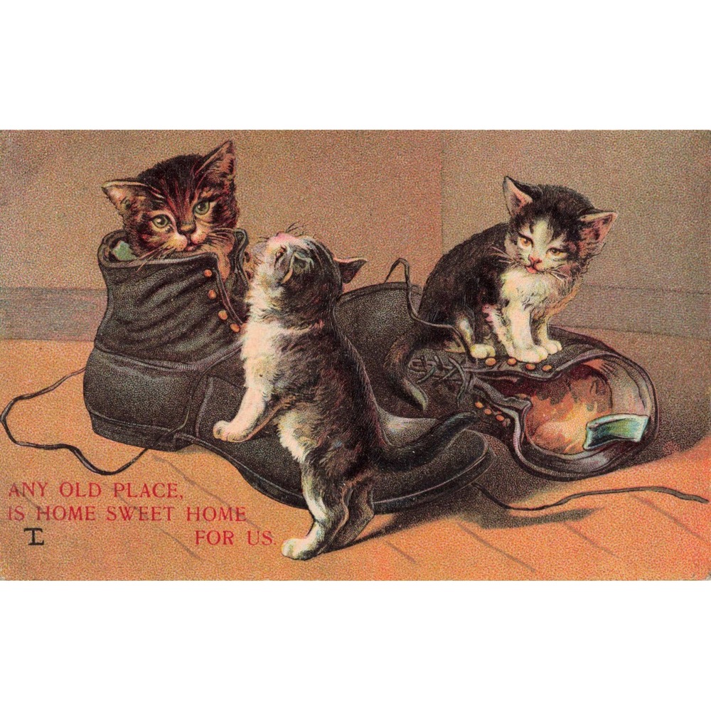 Vtg Kittens in Boots Postcard Any Old Place Home Sweet Home Germany Serie 6/4